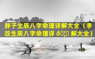胖子生辰八字命理详解大全（李玟生辰八字命理详 🦄 解大全）